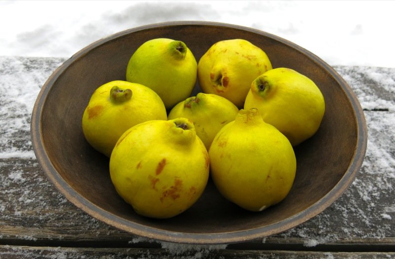 Homemade Quince Paste or Membrillo