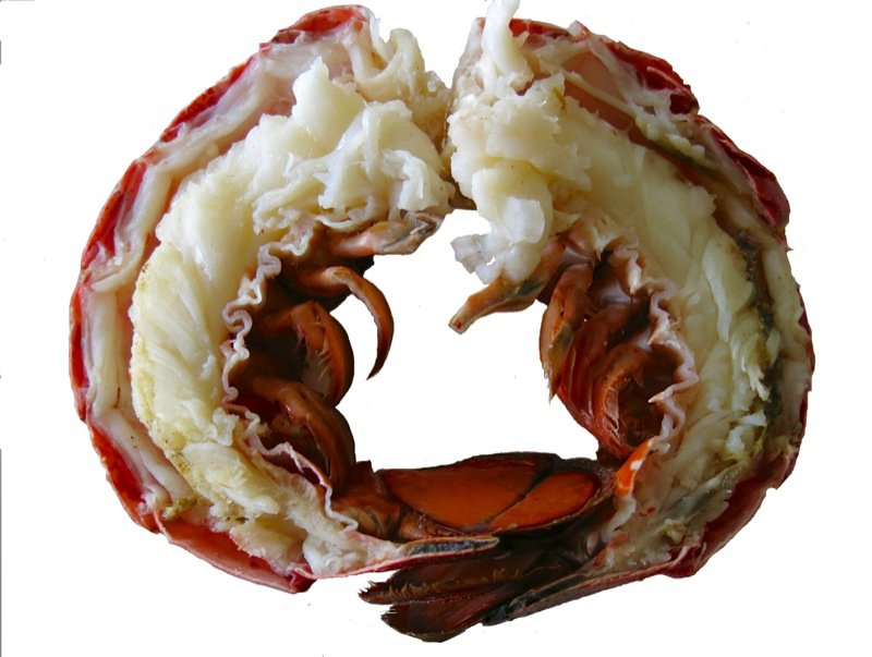 10 Lobster Tails Halved