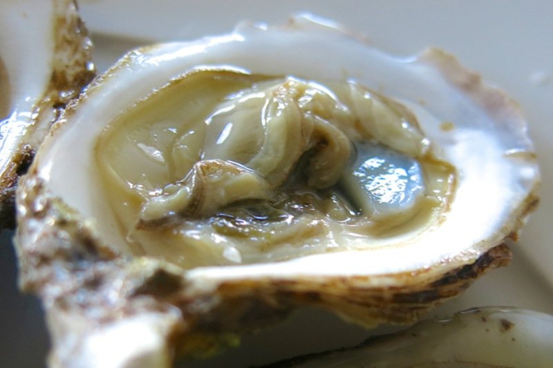 2 Malepeque Oyster on half shell