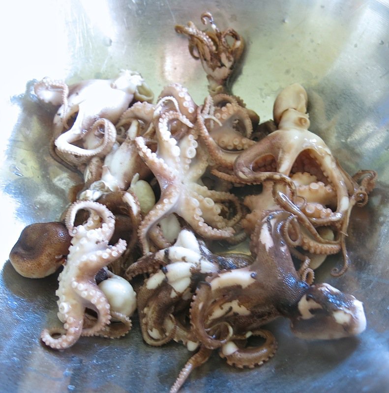 2 Poached Baby Octopi