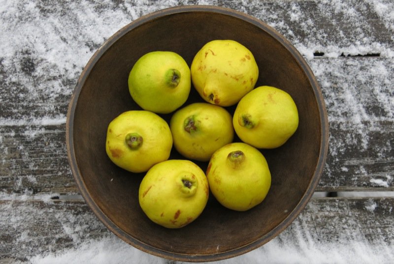 Homemade Quince Paste or Membrillo