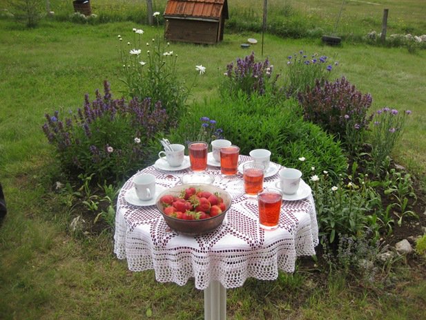 17 July 8 2009 Kupress Strawberry Tea