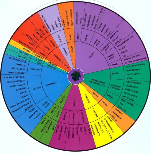 aroma_wheel