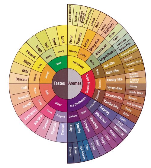 taste_and_flavor_wheel