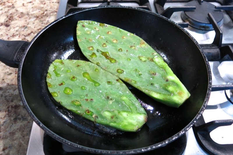 27 Nopal Cactus