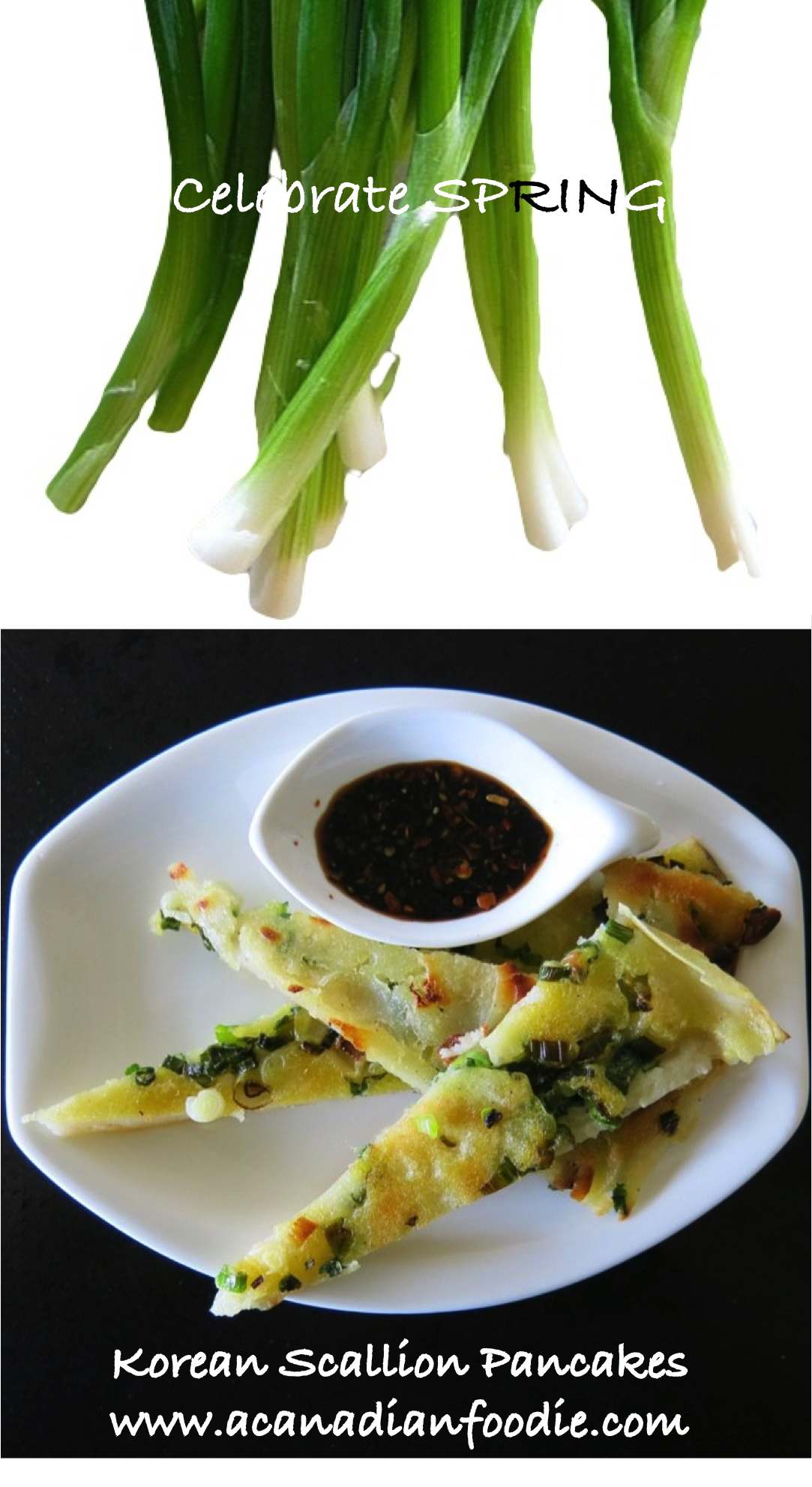 Korean Scallion Pancakes LONG