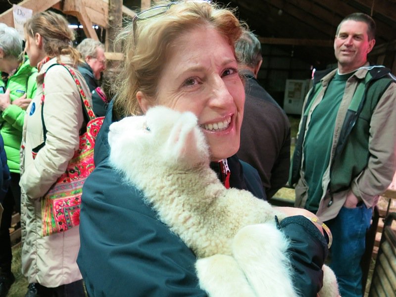 Lismore Sheep Farm and Wool Shop