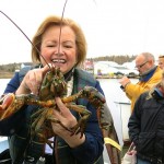 Wallace Wharf Lobster Haul: Fresh Lobster Feed!