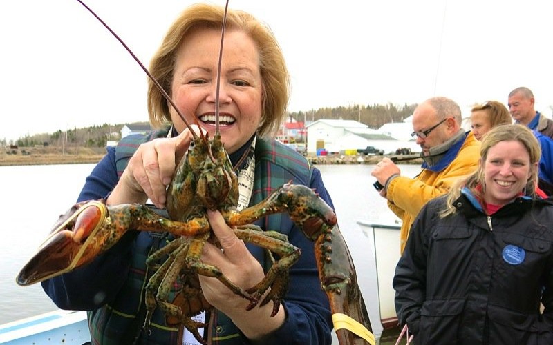 Wallace Wharf Lobster Haul: Fresh Lobster Feed!