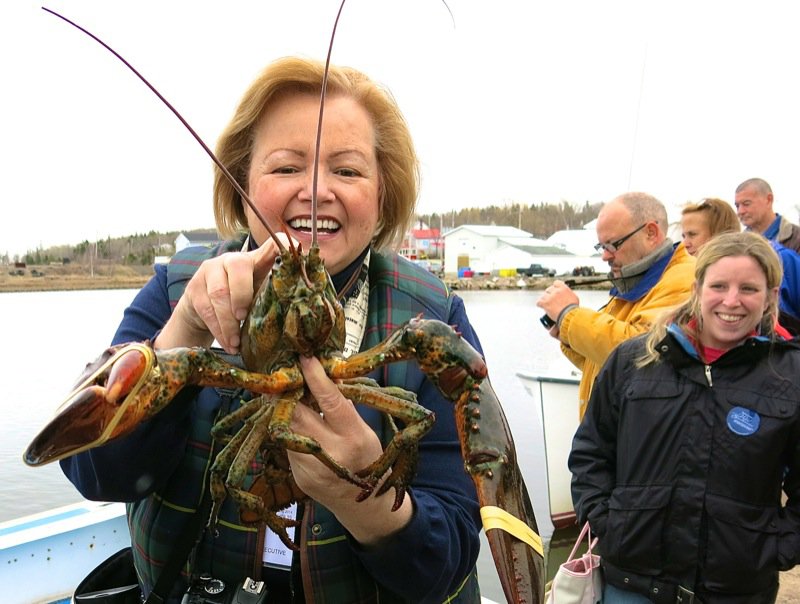 Wallace Wharf Lobster Haul: Fresh Lobster Feed!