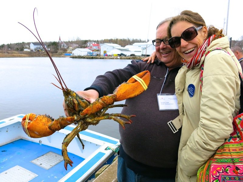 Wallace Wharf Lobster Haul: Fresh Lobster Feed!