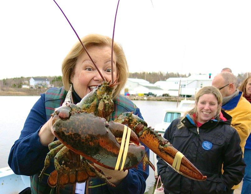 Wallace Wharf Lobster Haul: Fresh Lobster Feed!