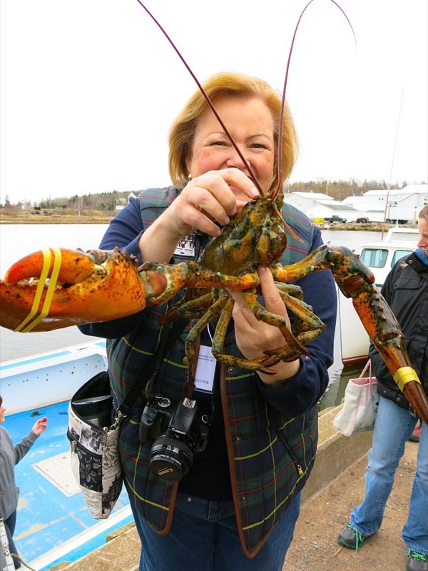 Wallace Wharf Lobster Haul: Fresh Lobster Feed!