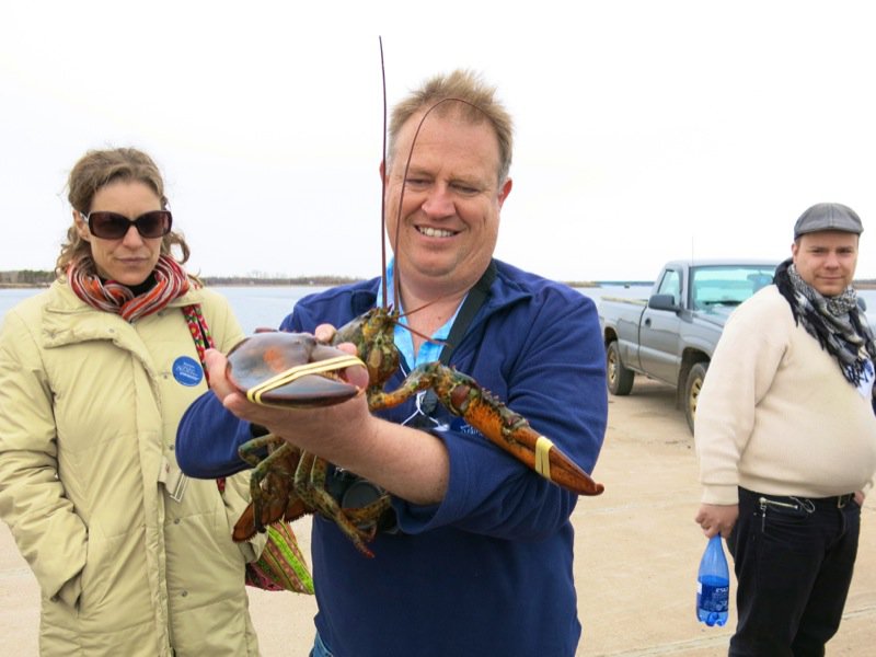 Wallace Wharf Lobster Haul: Fresh Lobster Feed!