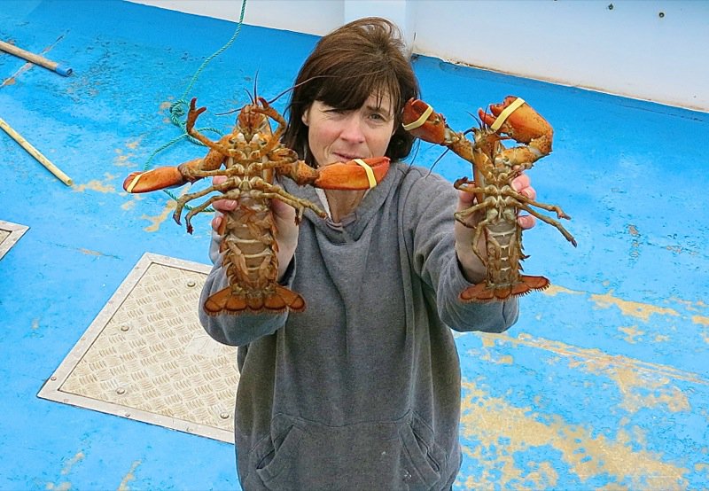 Wallace Wharf Lobster Haul: Fresh Lobster Feed!