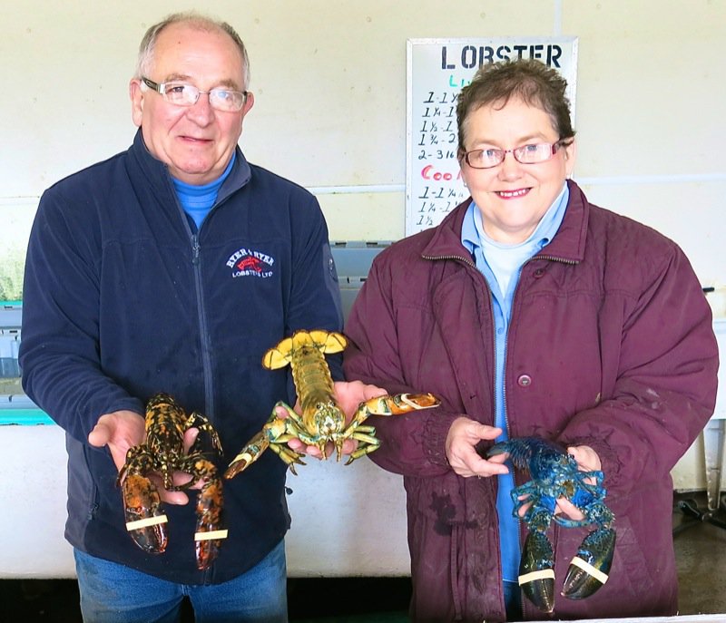 Ryer Lobsters enroute to Peggy's Cove