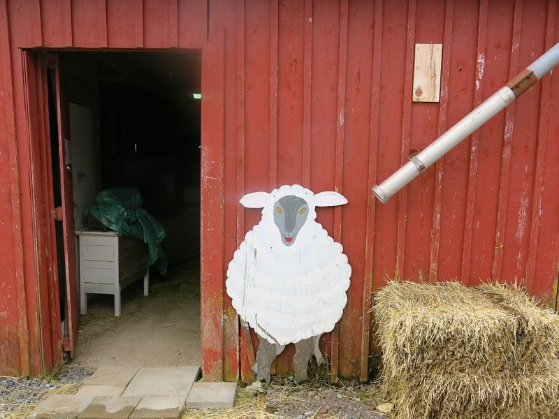 Lismore Sheep Farm and Wool Shop