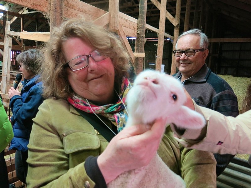 Lismore Sheep Farm and Wool Shop