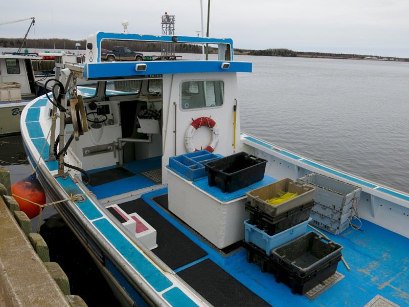 Wallace Wharf Lobster Haul: Fresh Lobster Feed!