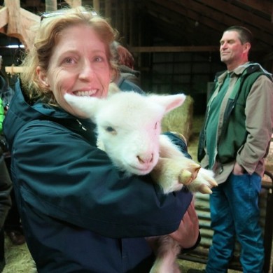 Lismore Sheep Farm and Wool Shop