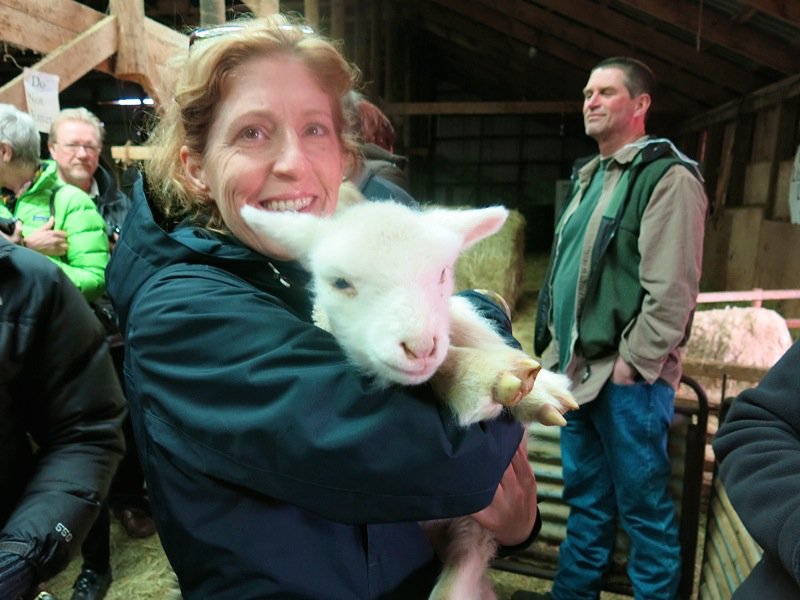 Lismore Sheep Farm and Wool Shop