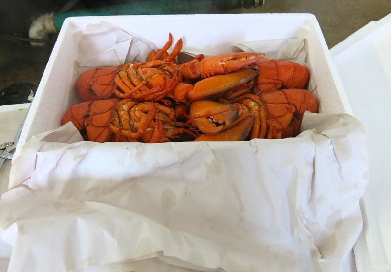 Ryer Lobsters enroute to Peggy's Cove