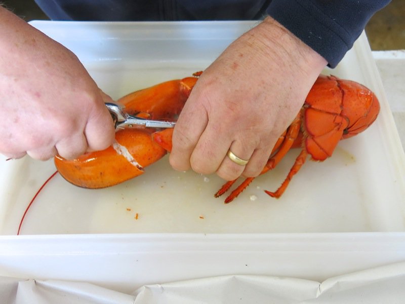 Ryer Lobsters enroute to Peggy's Cove