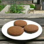 The Famous Pubnico Molasses Cookie