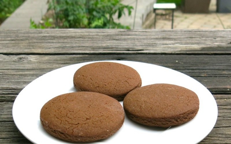 The Famous Pubnico Molasses Cookie