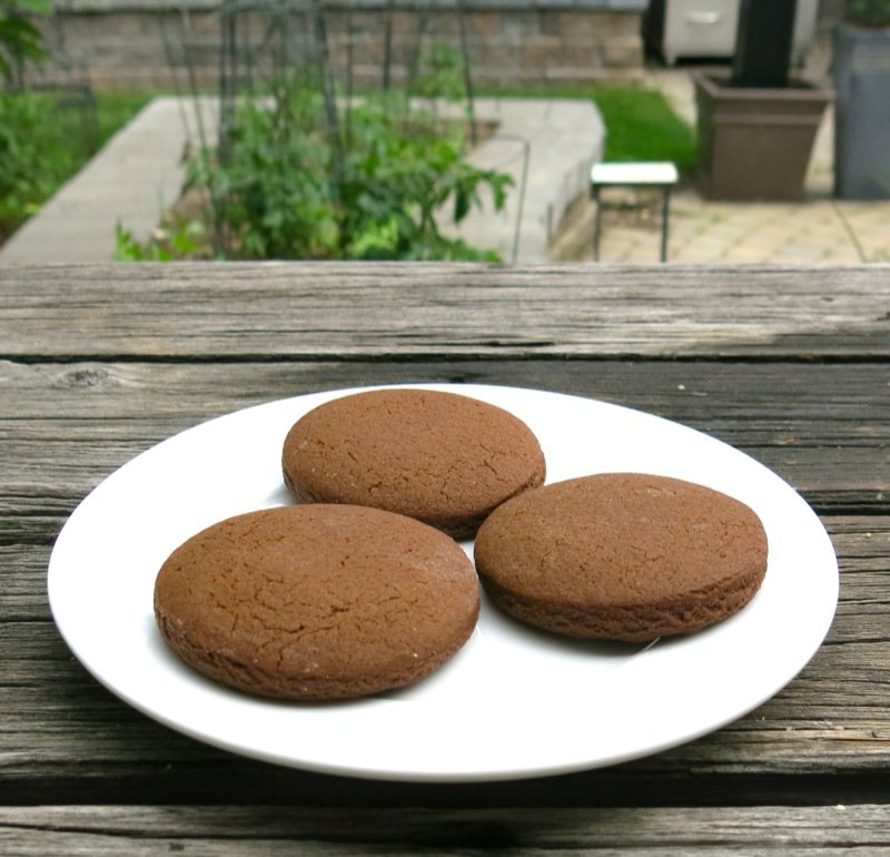 The Famous Pubnico Molasses Cookie