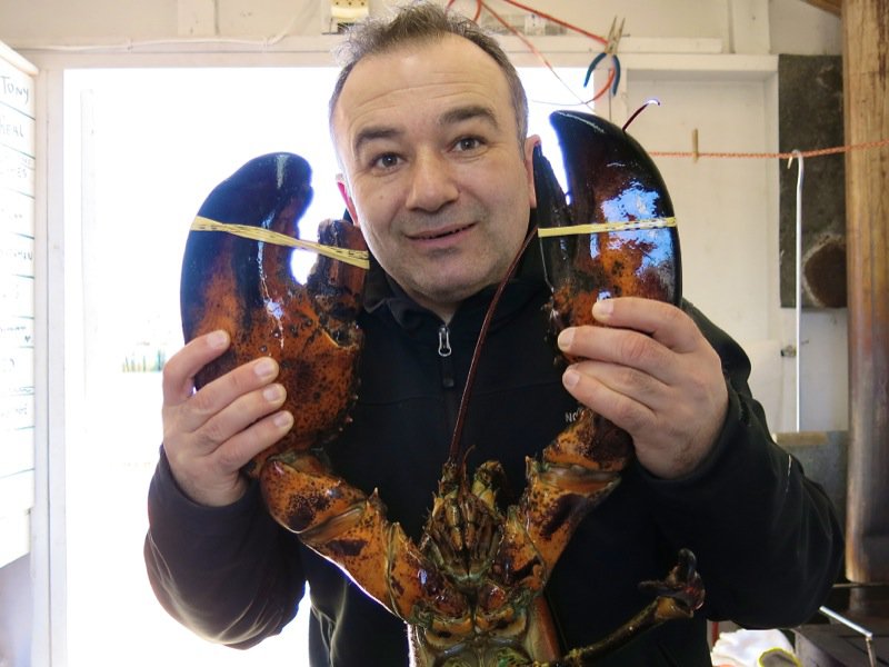 The Lobster Cars at Dennis Point Wharf in Pubnico