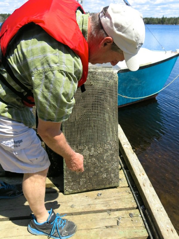 11 Eel Lake Oyster Farm