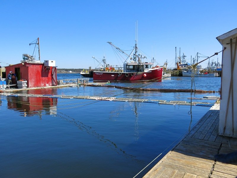 The Lobster Cars at Dennis Point Wharf in Pubnico