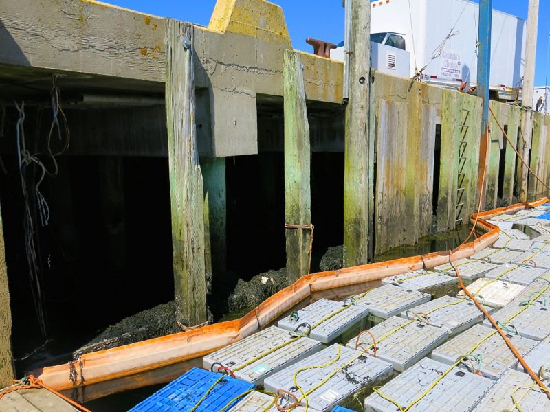 The Lobster Cars at Dennis Point Wharf in Pubnico