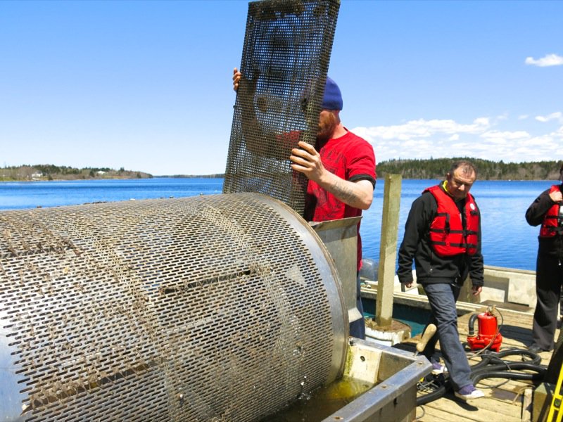 A Fieldtrip to Eel Lake Oyster Farm