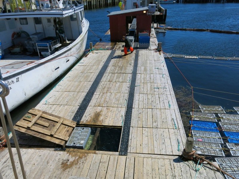 Lobster Fishing in Pubnico