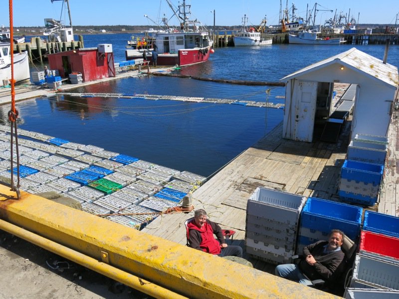 The Lobster Cars at Dennis Point Wharf in Pubnico