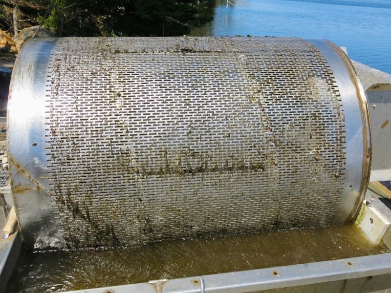 A Fieldtrip to Eel Lake Oyster Farm