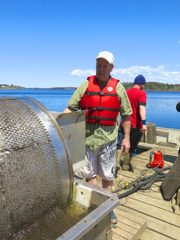 A Fieldtrip to Eel Lake Oyster Farm