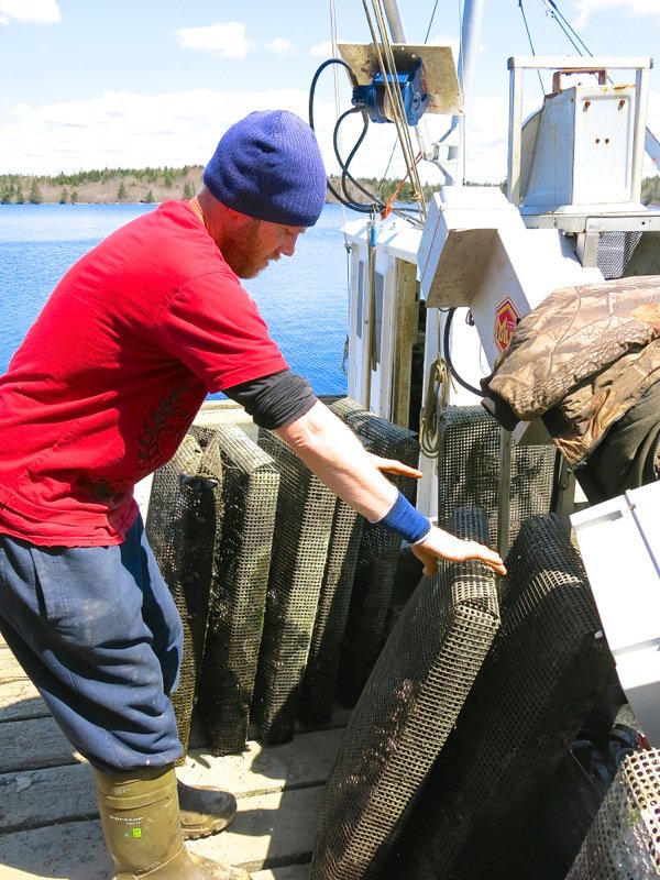 A Fieldtrip to Eel Lake Oyster Farm