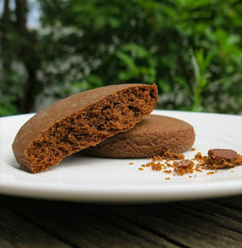 The Famous Pubnico Molasses Cookie