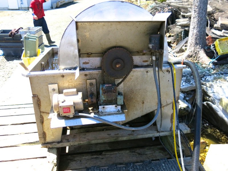 A Fieldtrip to Eel Lake Oyster Farm