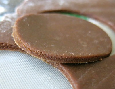 The Famous Pubnico Molasses Cookie