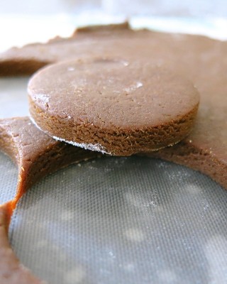 The Famous Pubnico Molasses Cookie