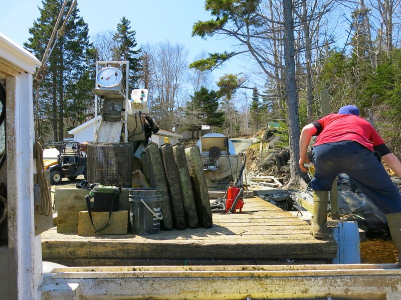 A Fieldtrip to Eel Lake Oyster Farm