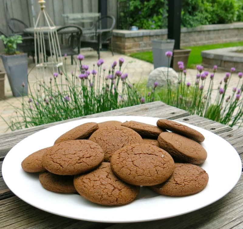 The Famous Pubnico Molasses Cookie