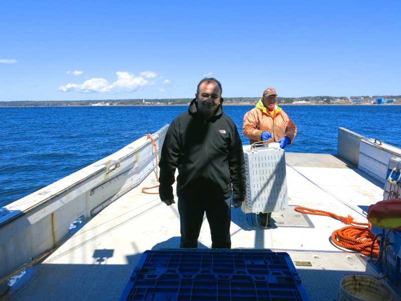 Lobster Fishing in Pubnico