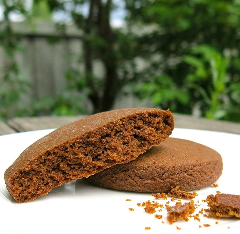 The Famous Pubnico Molasses Cookie