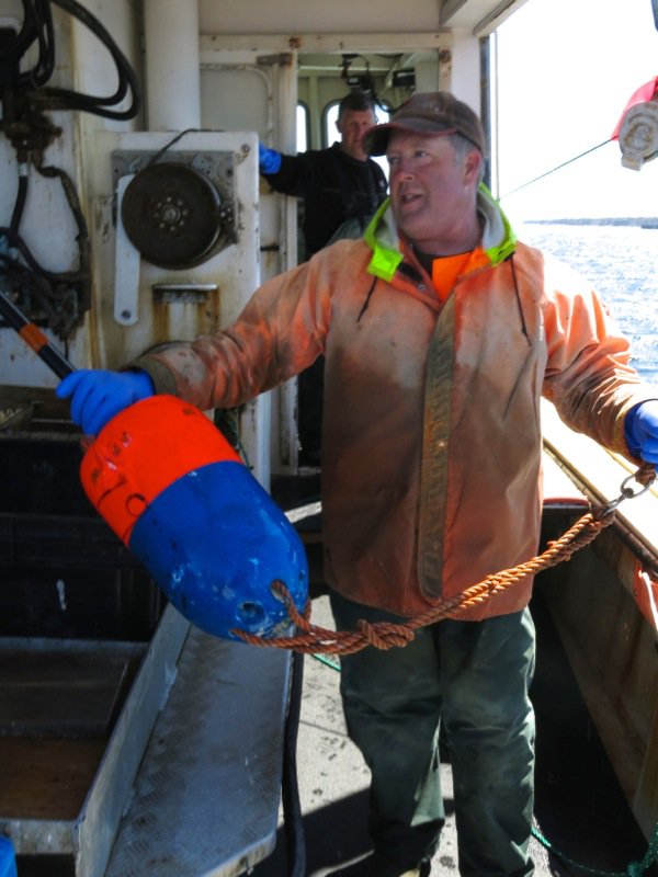 Lobster Fishing in Pubnico