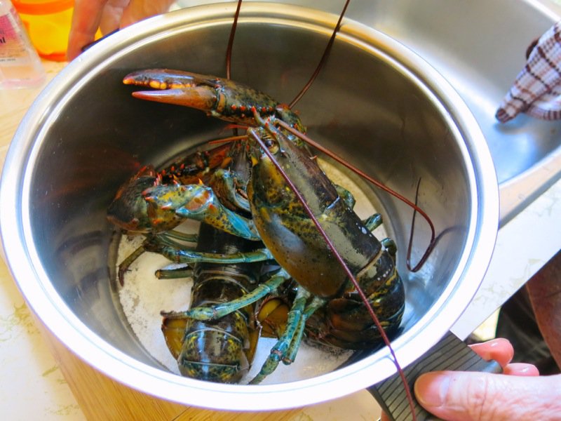 Pubnico Heritage Recipe: Fisherman Steamed Lobster